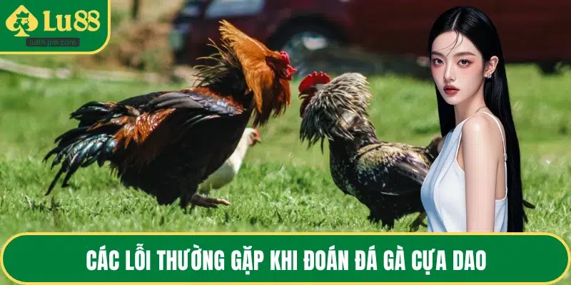 Các lỗi thường gặp khi đoán đá gà cựa dao