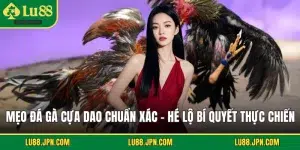 Mẹo Đá Gà Cựa Dao Chuẩn Xác - Hé Lộ Bí Quyết Thực Chiến